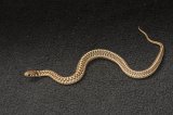 2024 C. B. Checkered Garter Snake (#11404-F)